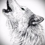 эскиз тату воющий волк №733 - достойный вариант рисунка, который легко можно использовать для преобразования и нанесения как тату воющий волк на предплечье