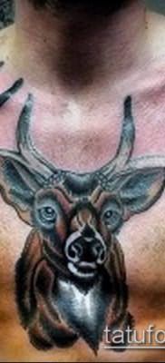 фото тату олень с рогами (tattoo) (значение) – пример рисунка – 058 tatufoto.com