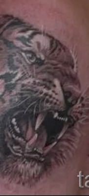 фото тату оскал тигра для статьи про значение татуировки с оскалом – tatufoto.ru – 14