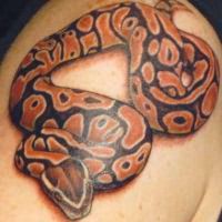 что означает тату змея 6