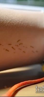 фото одуванчик с птицами (Dandelion Tatto) (значение) – пример рисунка – 064 tatufoto.com