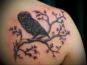 Значение татуировки сова 2