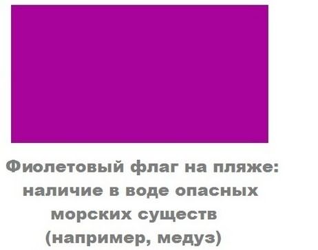 Черно серый фиолетовый флаг. Флаг с фиолетовым цветом. Розово фиолетовый флаг. Фиолетовый цвет в психологии. Что значит фиолетовый цвет на флаге.