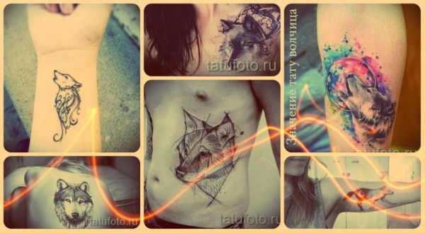 Значение тату волчица - смысл и фото готовых татуировок