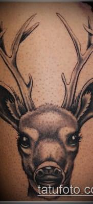фото тату олень с рогами (tattoo) (значение) – пример рисунка – 002 tatufoto.com