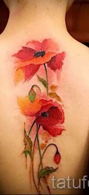 Poppies tattoo on his back – photos for an article about the importance of tattoos 1