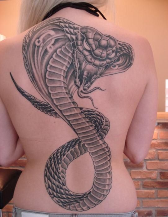 значения татуировок змеи