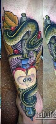 тату меч и змея №798 – интересный вариант рисунка, который успешно можно использовать для переделки и нанесения как Tattoo sword and snake